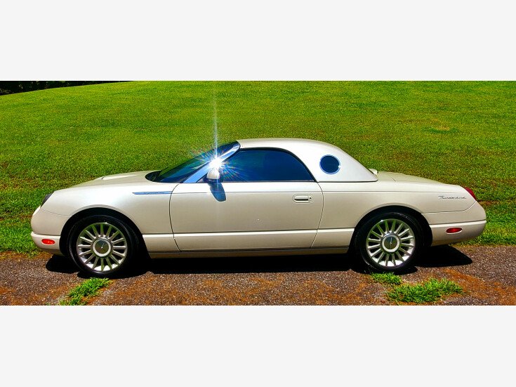 Thumbnail Photo undefined for 2005 Ford Thunderbird 50th Anniversary